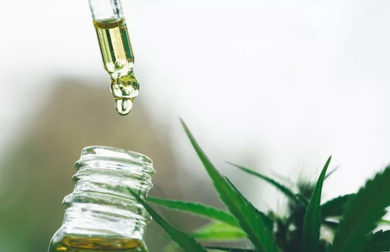 Consulta Pública da Anvisa: Novo marco na regulamentação da cannabis