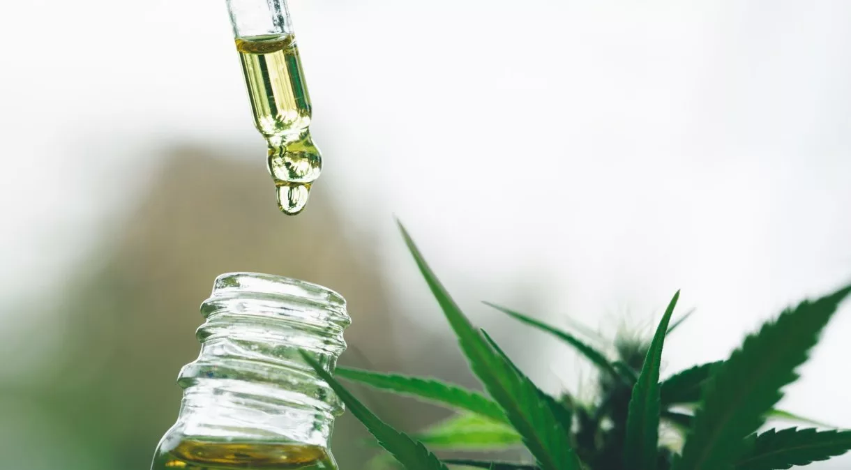 Consulta Pública da Anvisa: Novo marco na regulamentação da cannabis