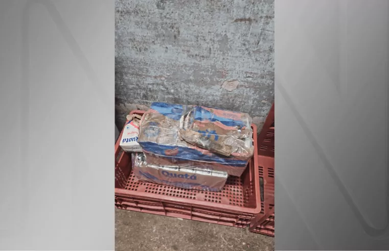 Fiscalização no RJ descarta 290kg de alimentos impróprios