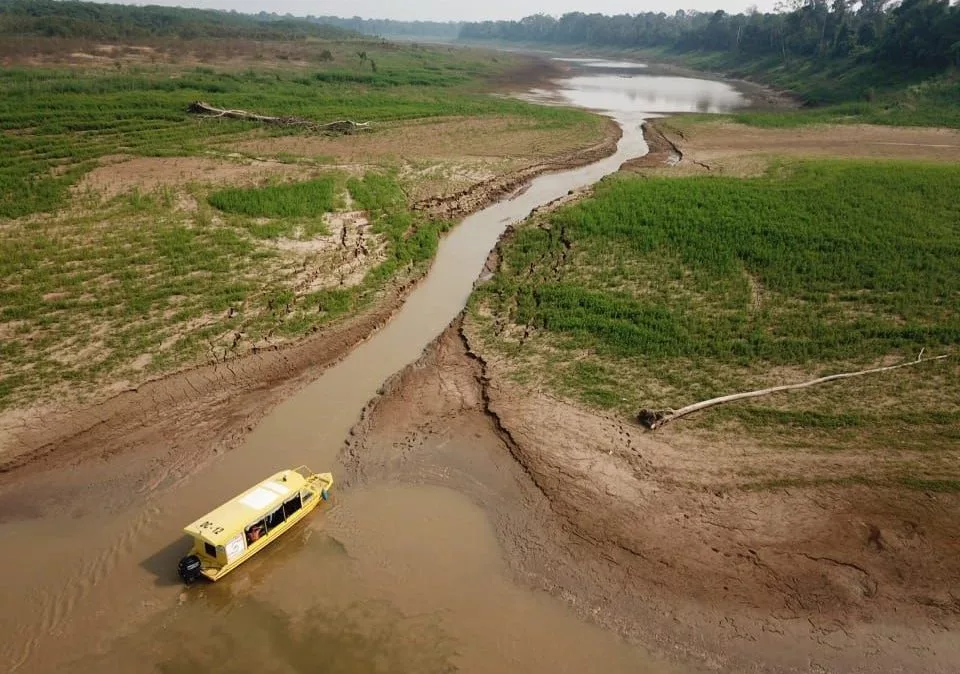 A Amazônia e a Crise da Água: O Que Precisamos Saber