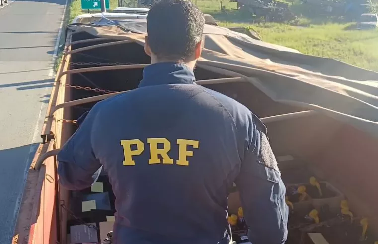 PRF apreende vinhos e azeites ilegais na BR-116