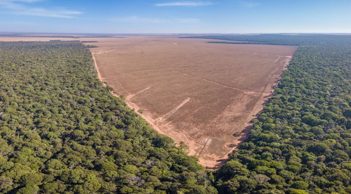 Mato Grosso propõe confisco de terras por desmatamento