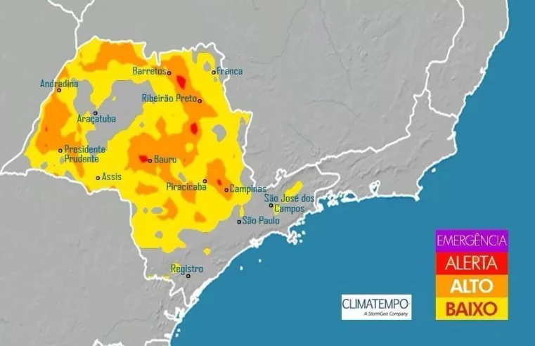 Prevenção de Incêndios: O Perigo do Clima Seco em SP