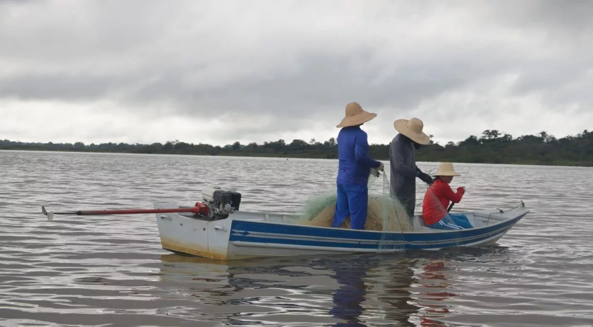Tambaqui: Retorno da pesca no Amazonas após defeso
