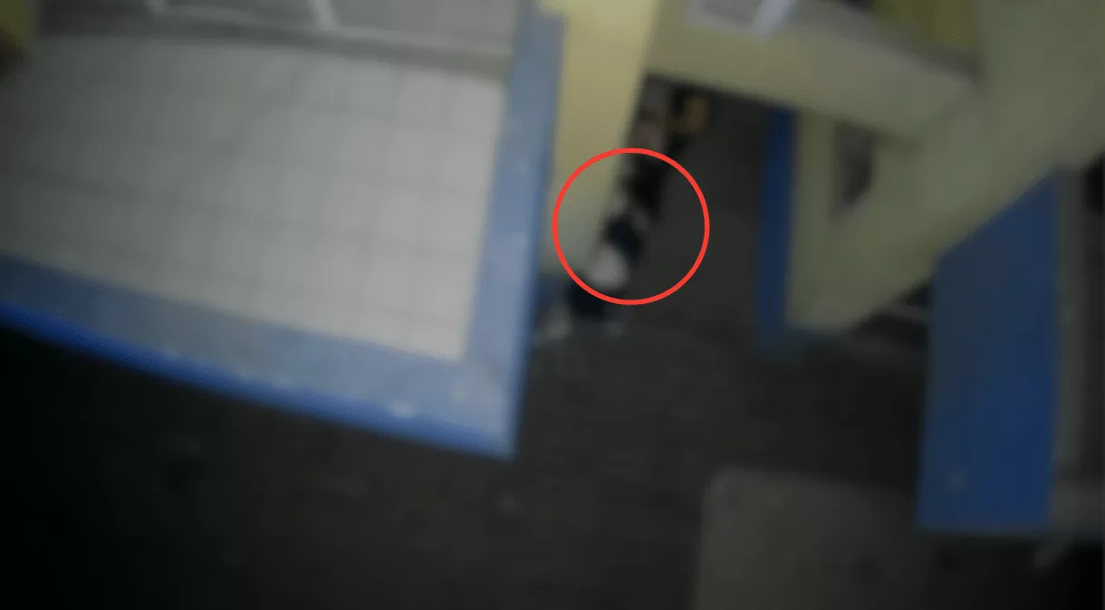 Paranaguá: Caso de Violência Sexual Choca a Cidade