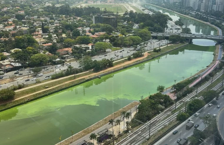 Mata Atlântica: Qualidade da Água dos Rios em Queda