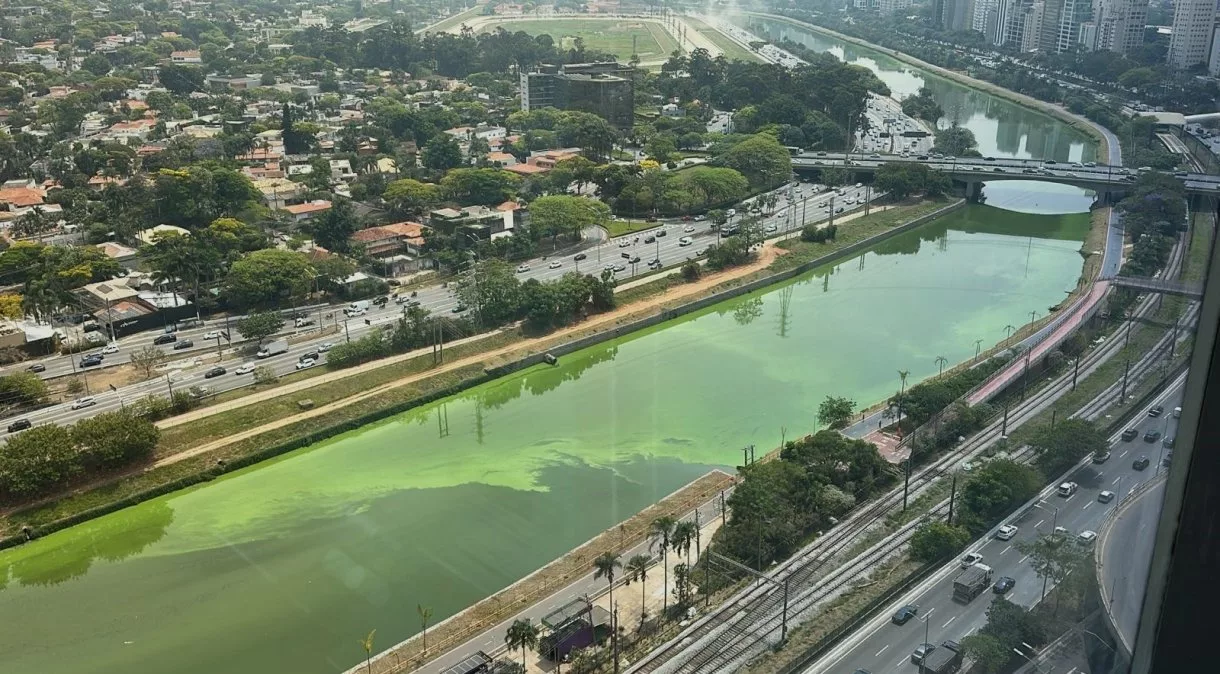 Mata Atlântica: Qualidade da Água dos Rios em Queda