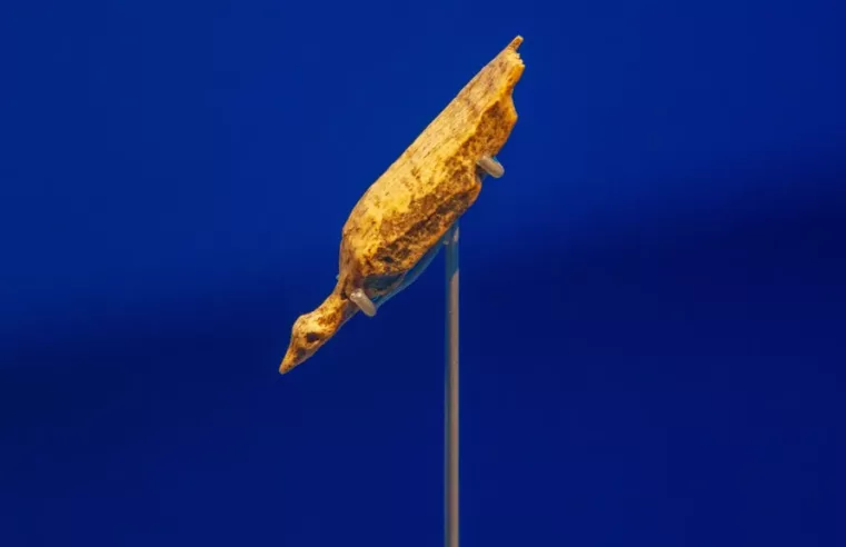 O Antigo Pássaro Hohle Fels: Arte e Cultura Pré-Histórica