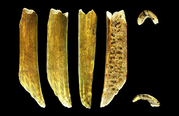 Antler de 7.500 anos revela segredos da Idade da Pedra