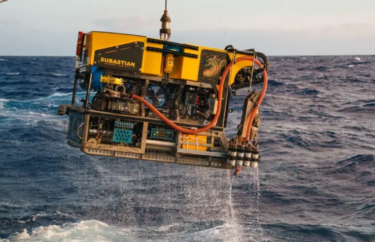 Primeira Filmagem do Molusco Colossal em Seu Habitat