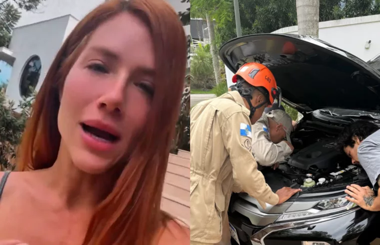 Gato é Resgatado de Roda de Carro de Giovanna Ewbank