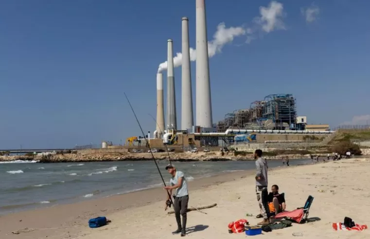 Nadador Desaparecido em Raro Ataque de Tubarão em Israel