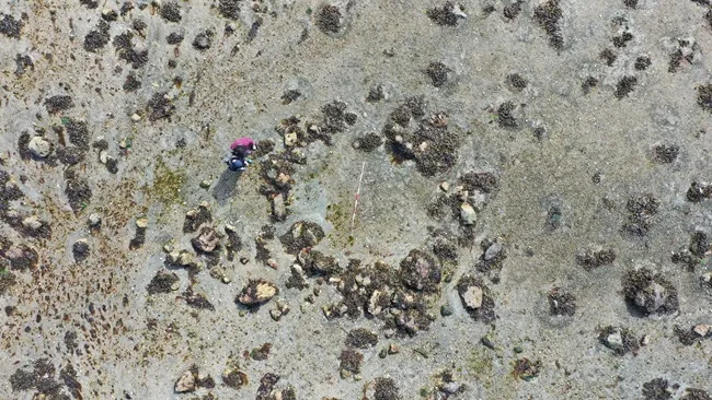 Círculos de Pedra Revelam A História Pré-Histórica da Escócia