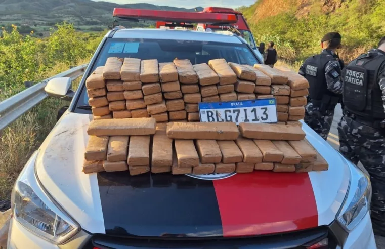 Polícia da Paraíba apreende 100 tabletes de maconha