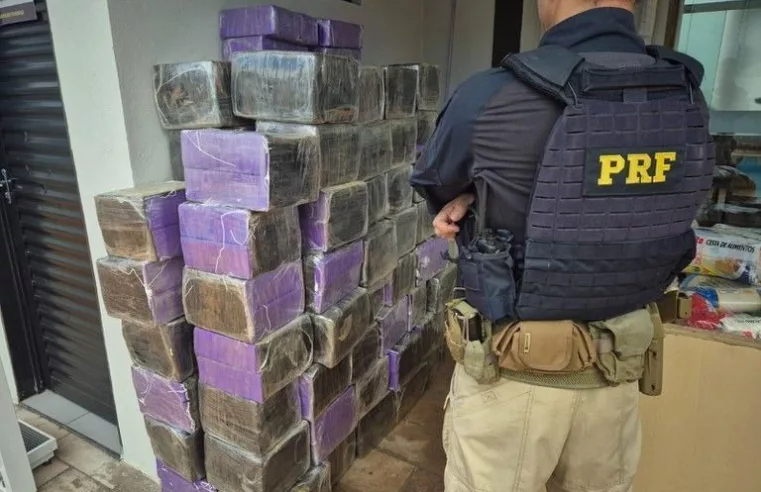PRF apreende 1,5 tonelada de drogas e cigarros em Paraná