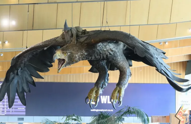 Adeus às Águias de Hobbit no Aeroporto de Wellington