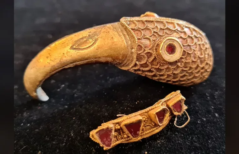 Descoberta de Tesouro Anglosaxão Emociona Detectoristas