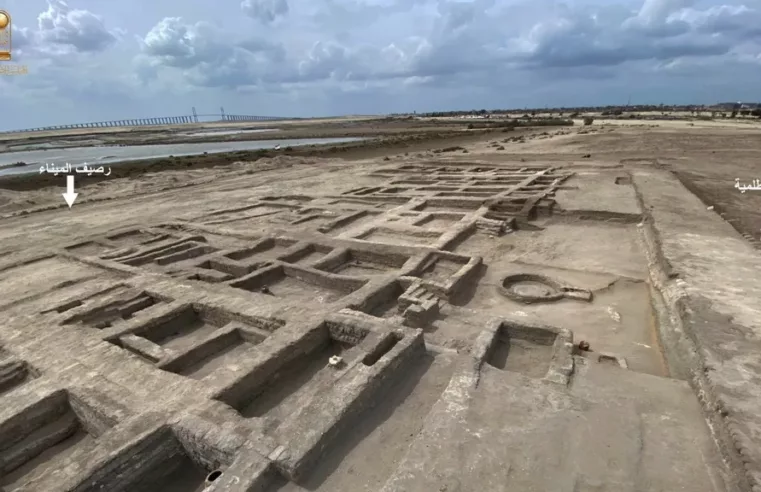 Descoberta Arqueológica Revela 500 Árvore na Antiga Ptolomaica