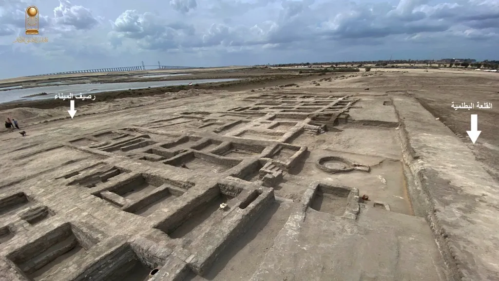 Descoberta Arqueológica Revela 500 Árvore na Antiga Ptolomaica